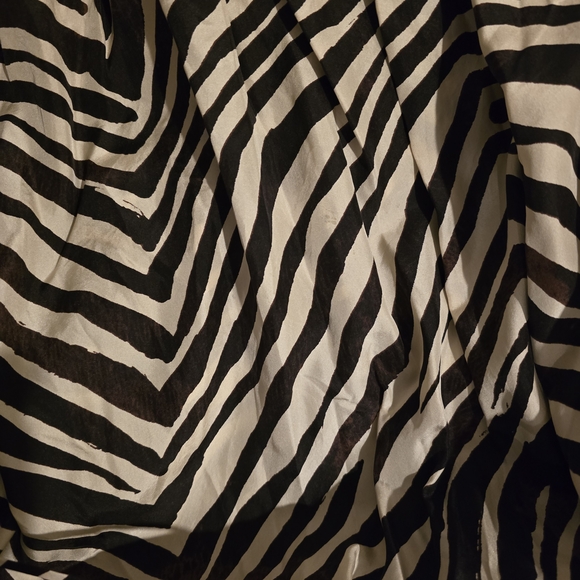 Banana Republic Zebra Stripe Maxi Dress Silk - Picture 4 of 5
